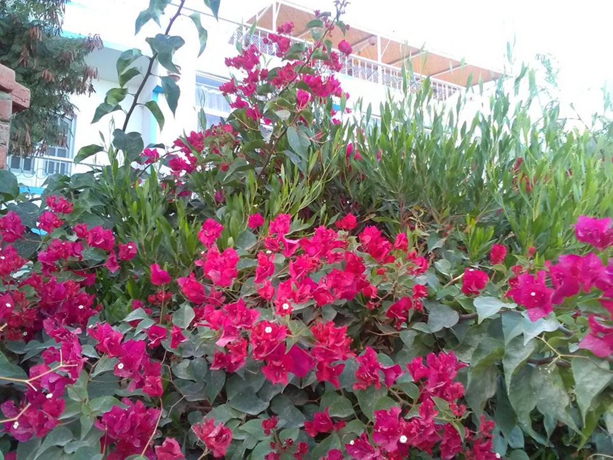 Luxor Guest House Exterior foto